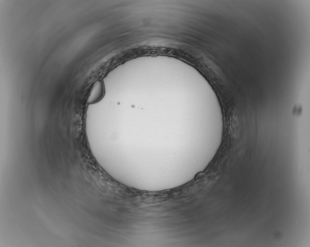 X0000110740821200907061005