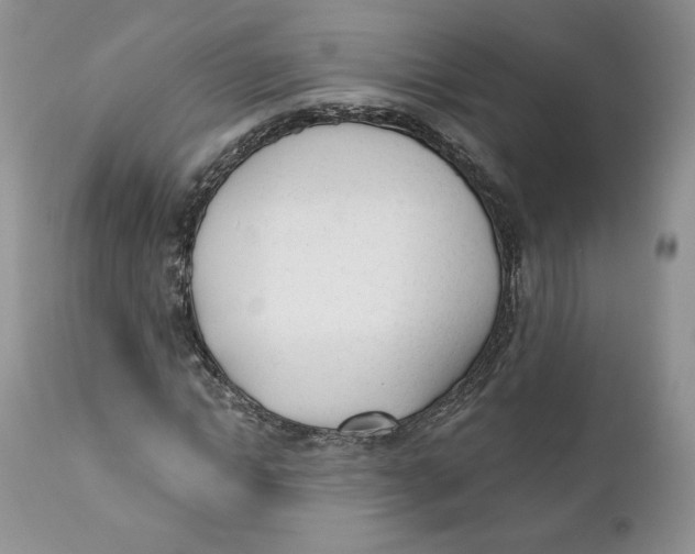 X0000110740822200907061005