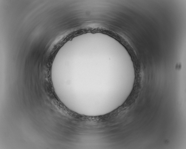 X0000110740823200907061005