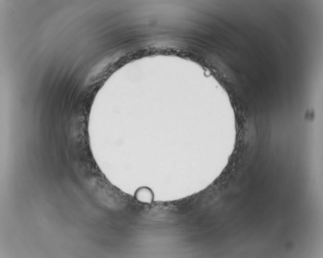 X0000110740824200907061005