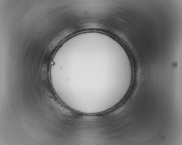 X0000110740825200907061005