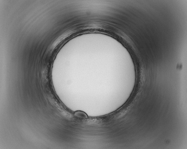 X0000110740826200907061005