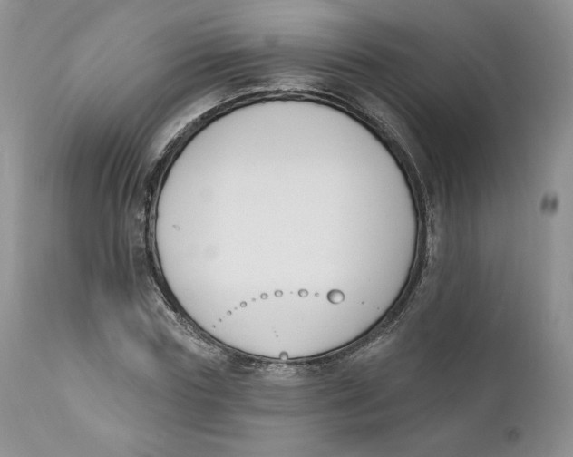 X0000110740827200907061005