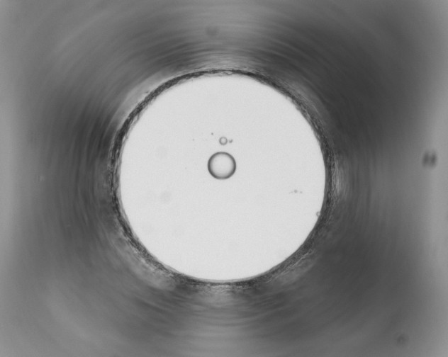 X0000110740828200907061005