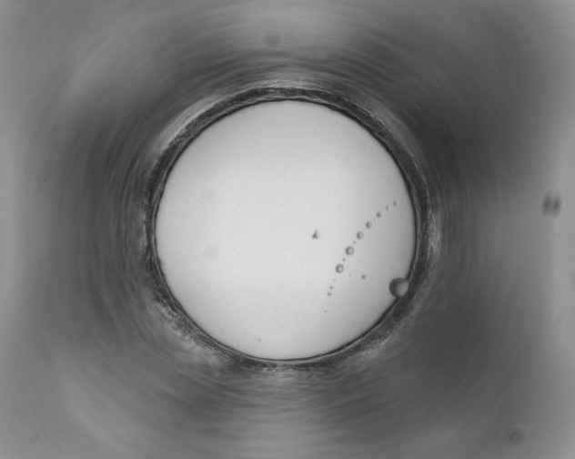 X0000110740829200907061005