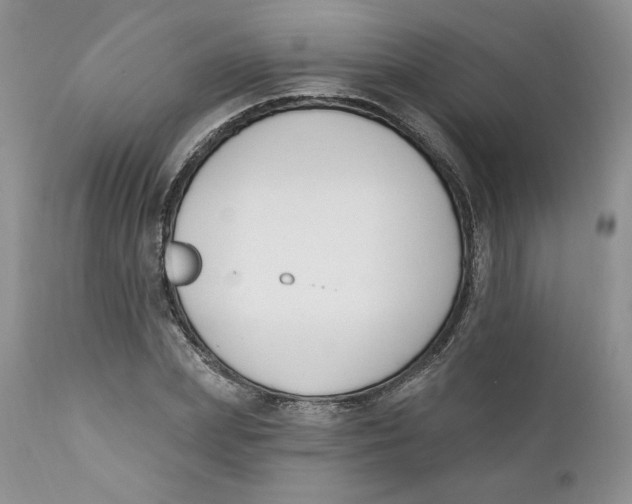 X0000110740831200907061005