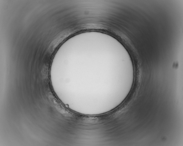 X0000110740833200907061005