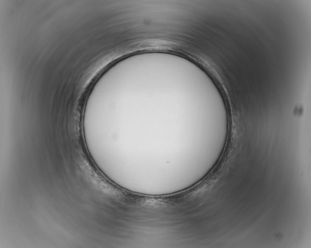 X0000110740835200907061005