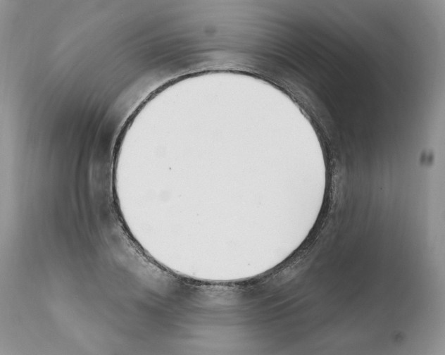 X0000110740836200907061005