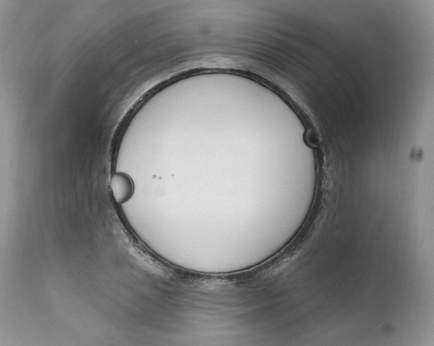 X0000110740837200907061005