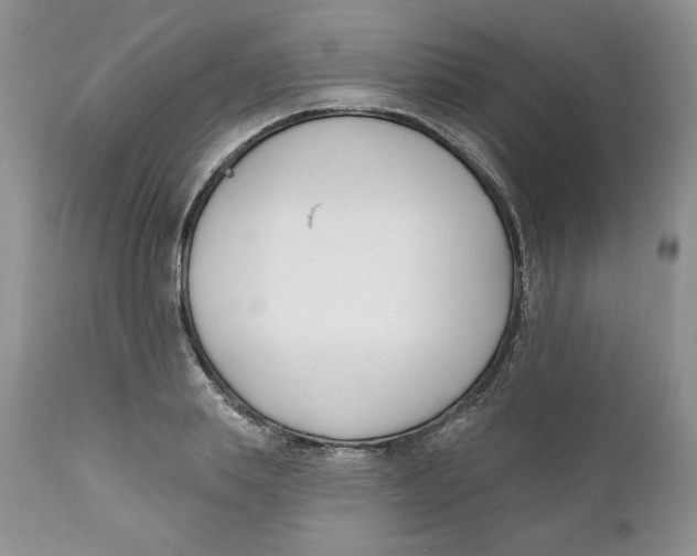 X0000110740839200907061005