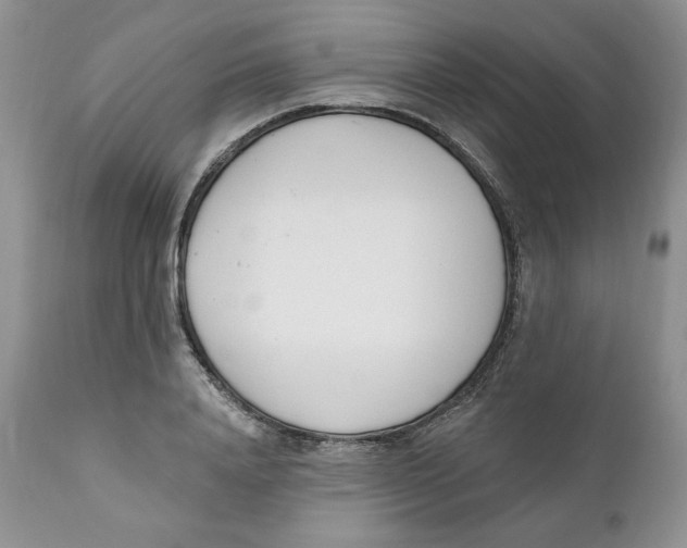 X0000110740840200907061005