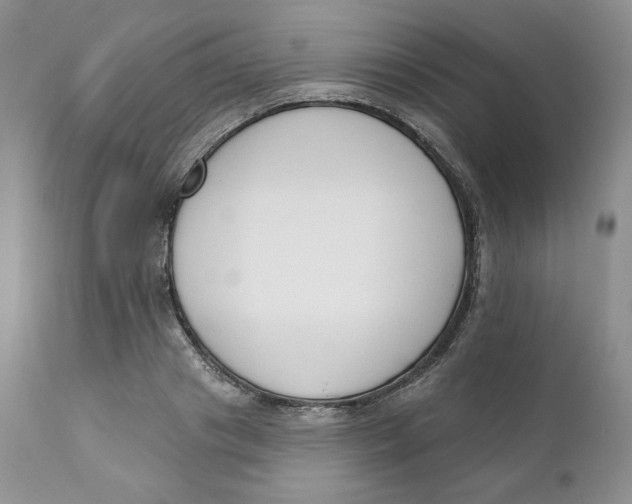 X0000110740841200907061005