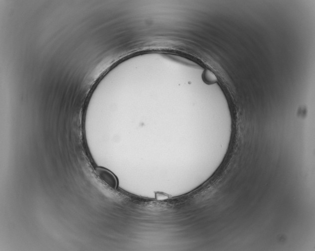 X0000110740842200907061005