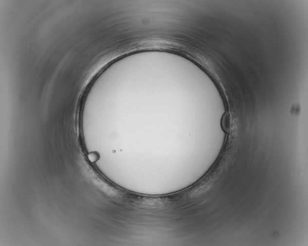 X0000110740843200907061005