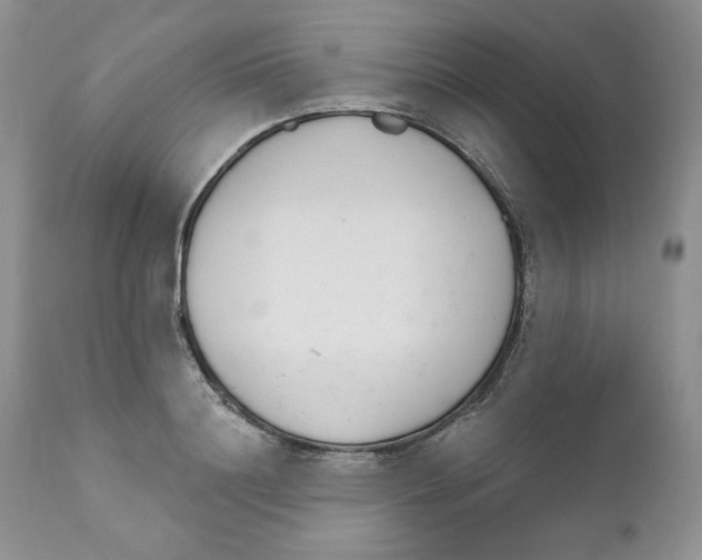 X0000110740844200907061005