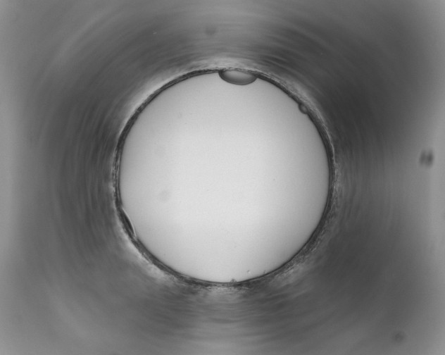 X0000110740847200907061005