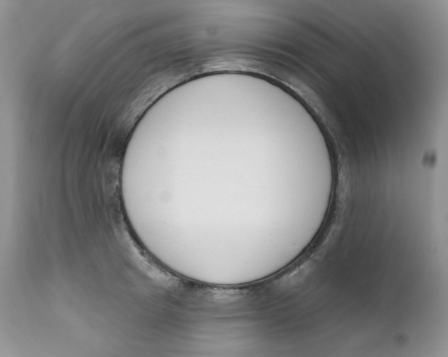 X0000110740849200907061005