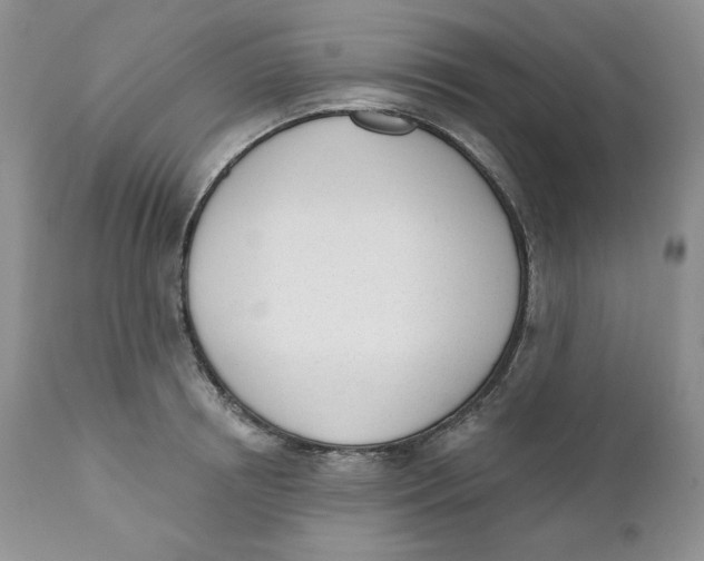 X0000110740850200907061005