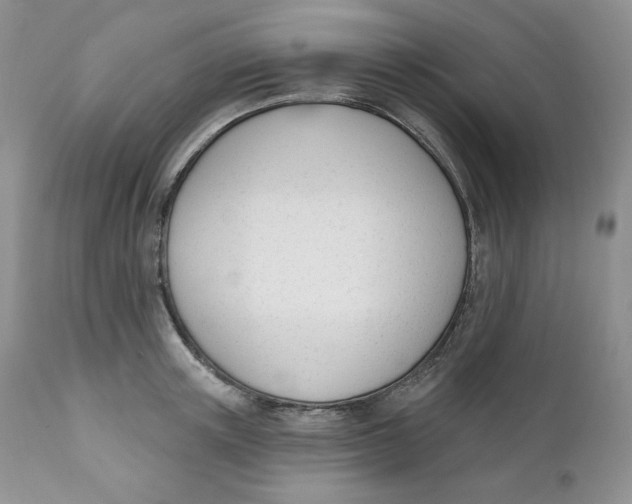 X0000110740851200907061005