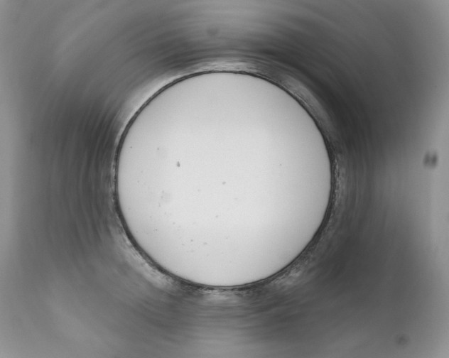 X0000110740852200907061005