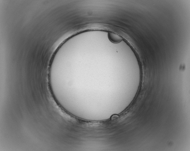 X0000110740853200907061005