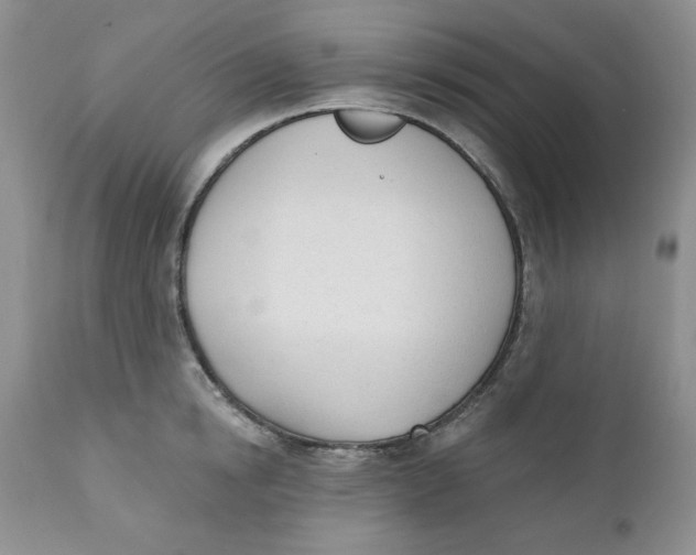 X0000110740854200907061005