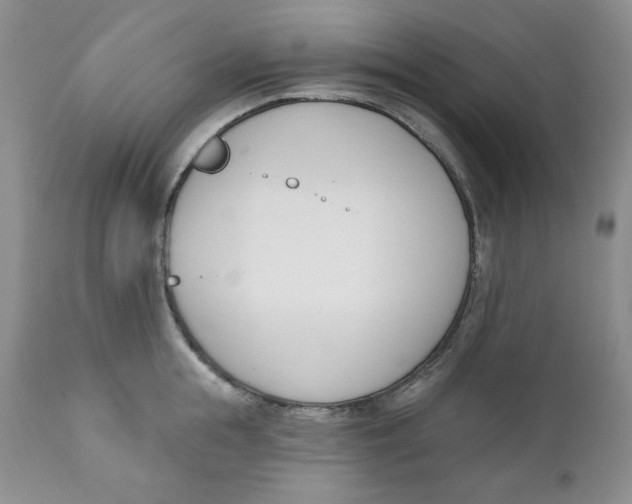 X0000110740855200907061005