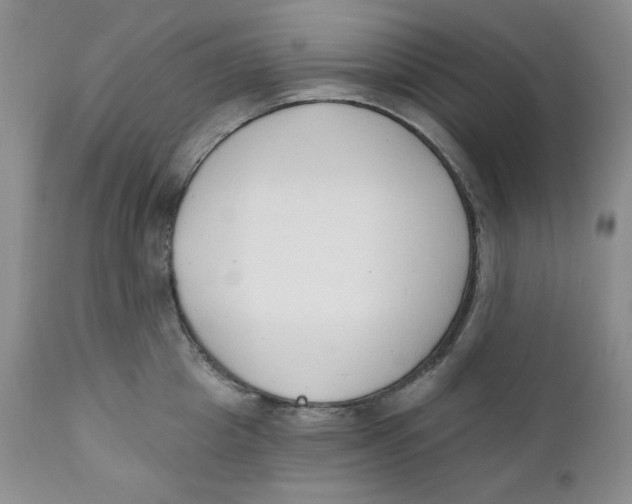 X0000110740857200907061005