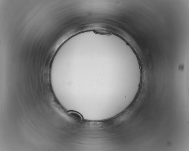 X0000110740858200907061005