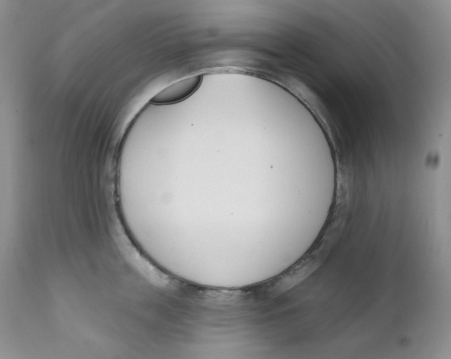 X0000110740859200907061005