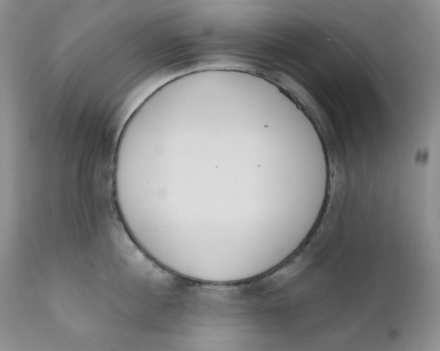 X0000110740860200907061005