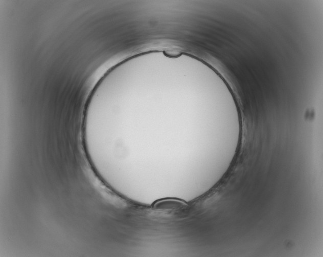 X0000110740861200907061005