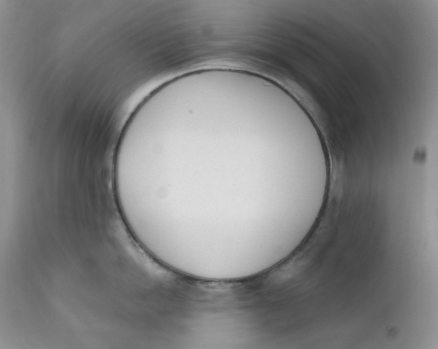 X0000110740862200907061005