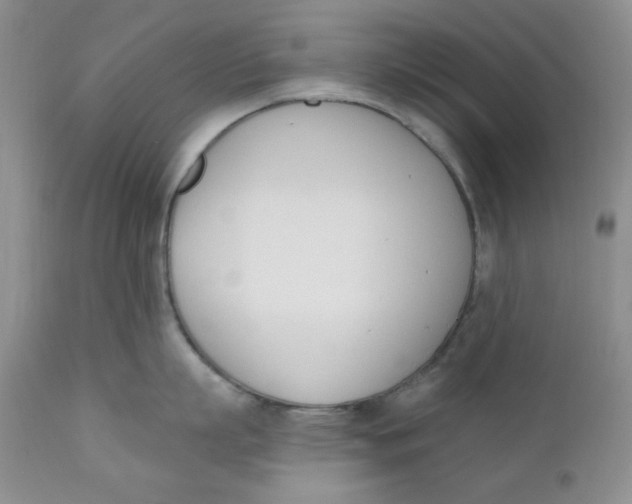 X0000110740863200907061005