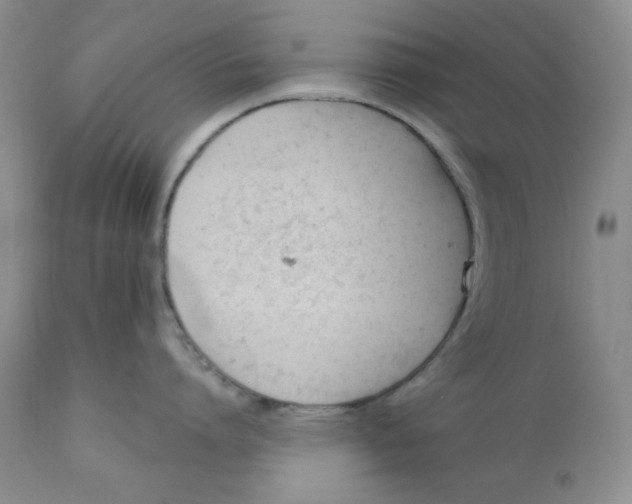 X0000110740864200907061005