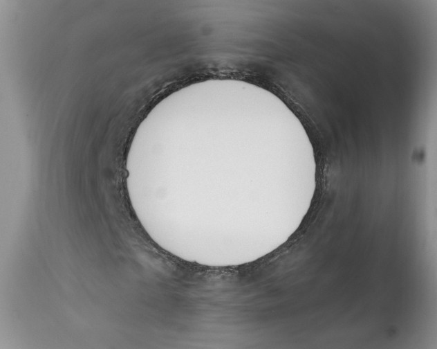 X0000110740865200907061005