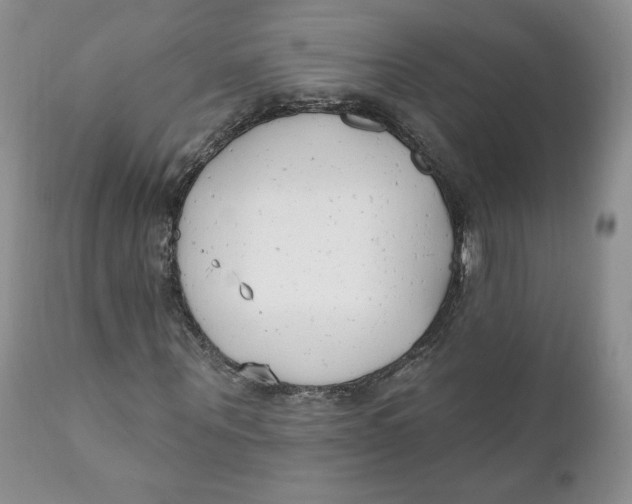 X0000110740867200907061005