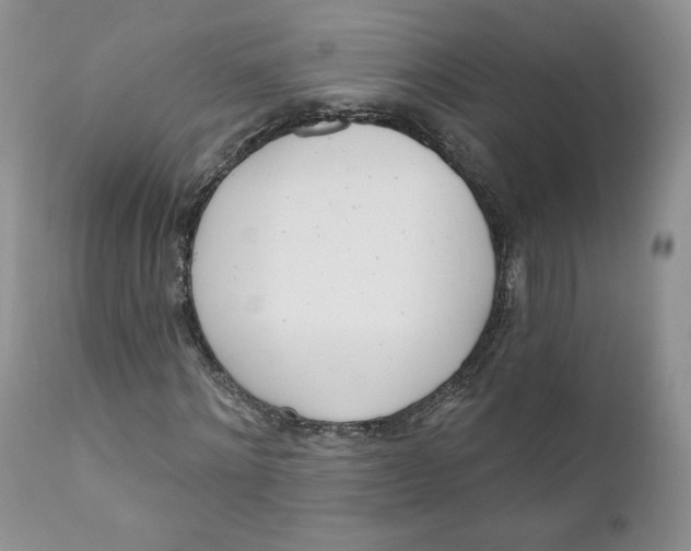 X0000110740868200907061005