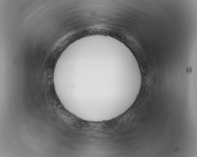 X0000110740870200907061004