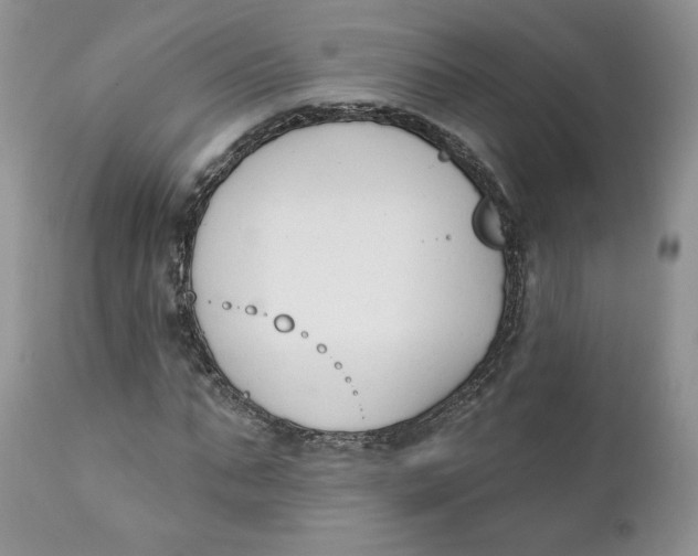 X0000110740871200907061004