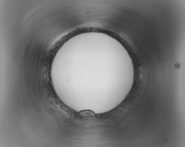 X0000110740872200907061004