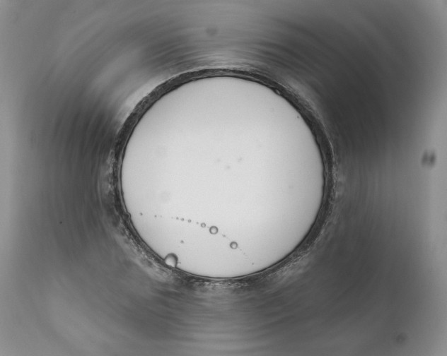 X0000110740875200907061004