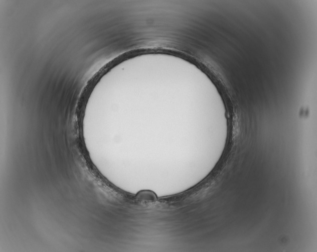 X0000110740876200907061004