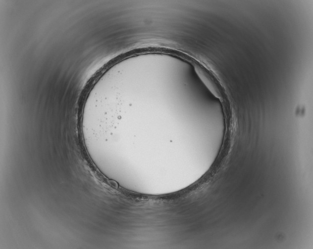 X0000110740877200907061004