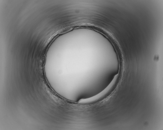 X0000110740881200907061004