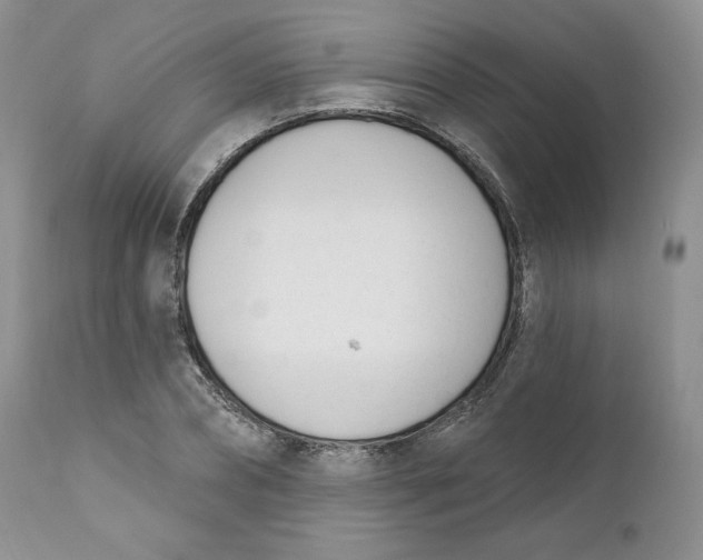 X0000110740882200907061004