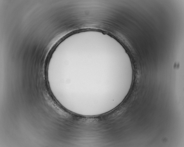 X0000110740884200907061004