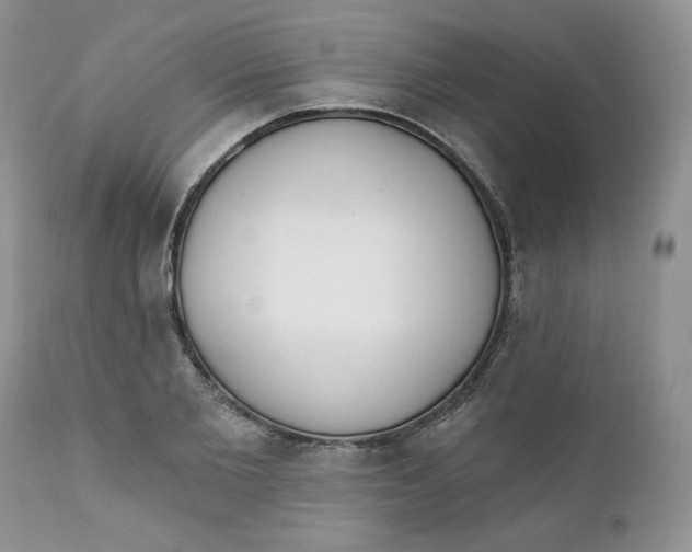 X0000110740885200907061004