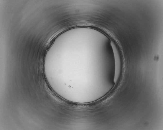 X0000110740889200907061004